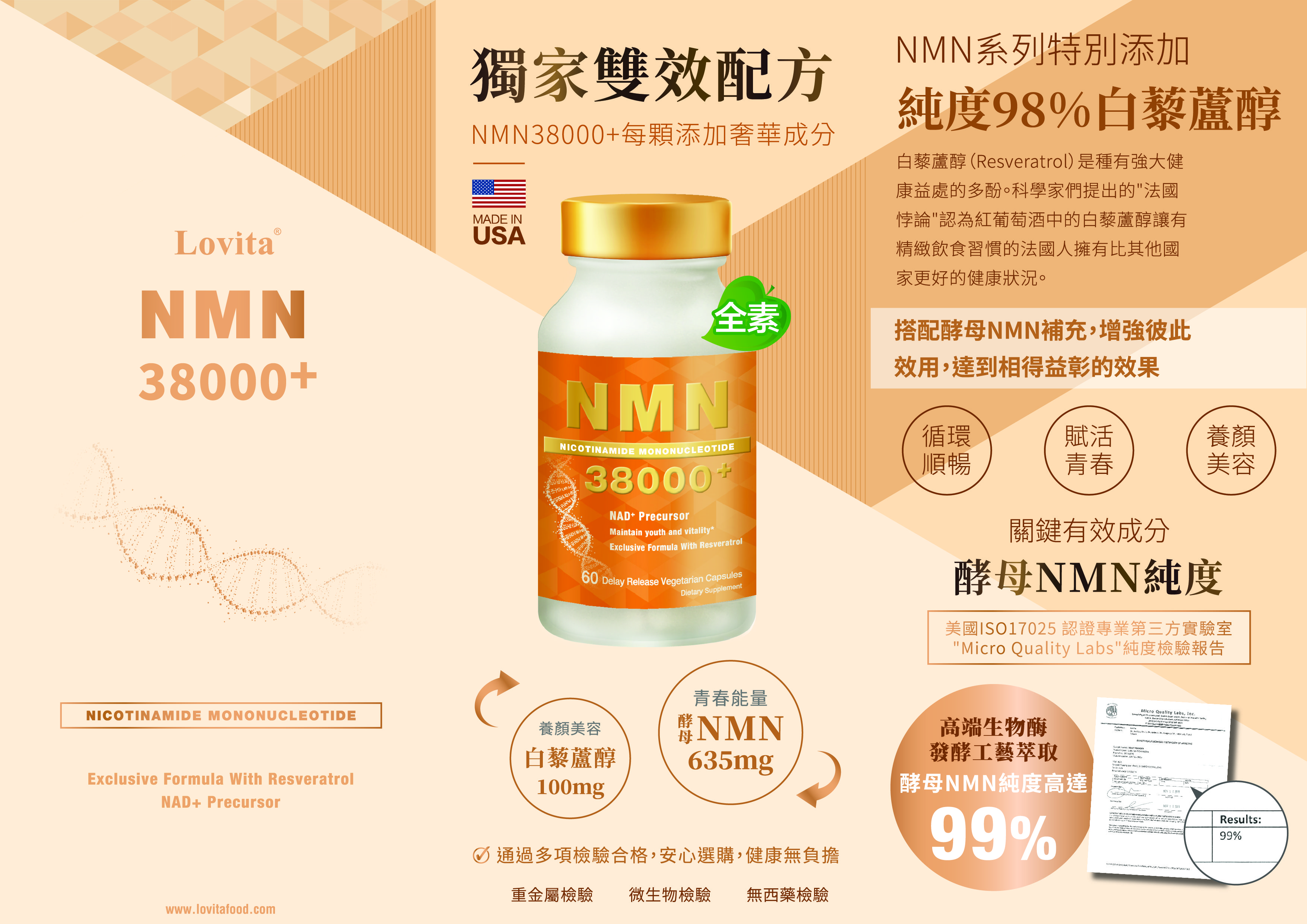 Lovita NMN — Product Flyers — artwork 1